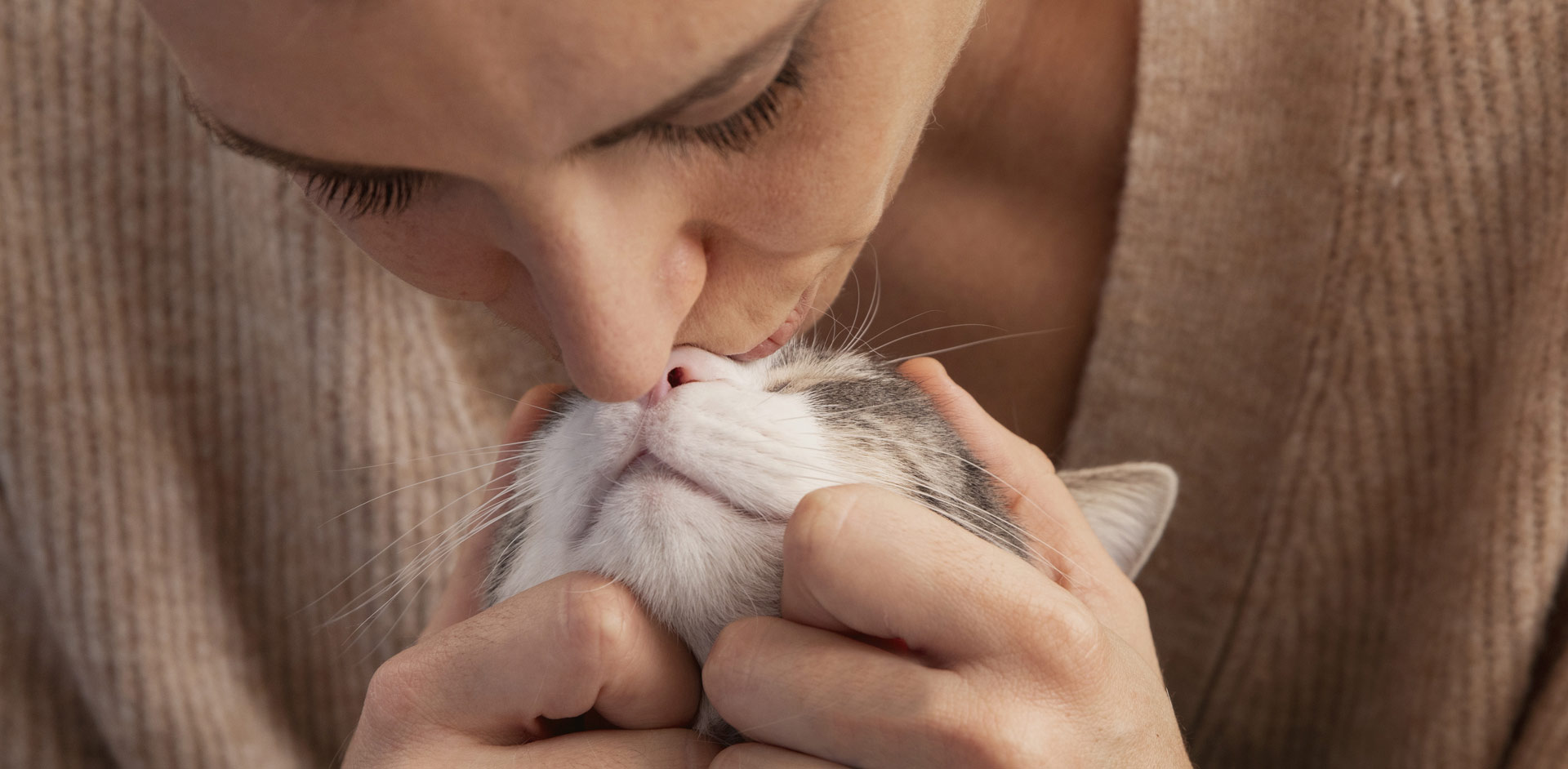 CQ9电子官方版股份有限公司